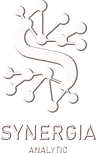 Synergia Analytic Logo
